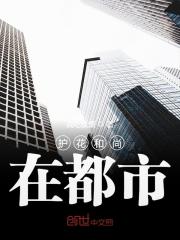 护花和尚在都市
