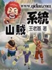 山贼系统