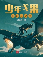 少年戈果的奇幻之旅