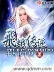 飞蛾传说