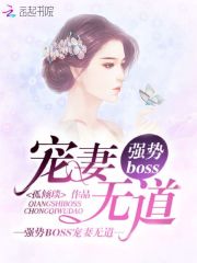 强势BOSS，宠妻无道！