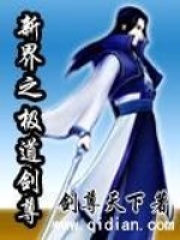 新界之极道剑尊