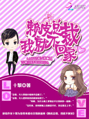 赖皮总裁,我就不回家