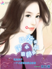 系统:小野猫养成计划