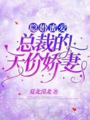 隐婚蜜爱:总裁的天价娇妻