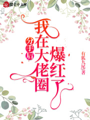 分手后,我在大佬圈爆红了