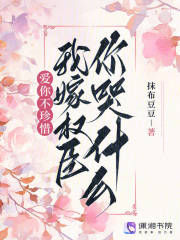 爱你不珍惜,我嫁权臣你哭什么?