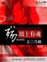 殇&mdash;&mdash;墙上有魂