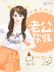 娇妻不识人:老公,你谁