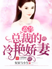 高冷总裁的冷艳娇妻