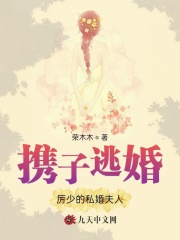 携子逃婚，厉少的私婚夫人