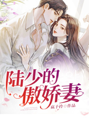 陆少的傲娇妻