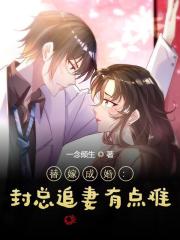 替嫁成婚：封总追妻有点难(云汐封少霆)一念倾生小说最新章节免费阅读全文