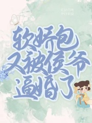 【软娇包又被侯爷逼婚了】主角是叶泠雾沈挽舟的小说在线阅读