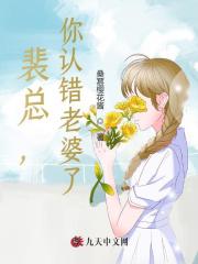 裴总,你认错老婆了!