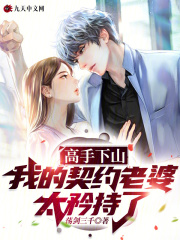 高手下山，我的契约老婆太矜持了