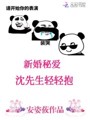 新婚秘爱:沈先生轻轻抱