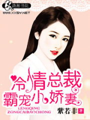 傲娇少爷追妻攻略