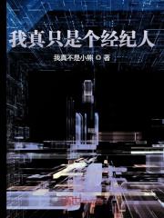 我真只是个经纪人