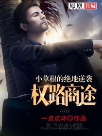 小草根的绝地逆袭：权路商途