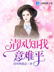 清风知我意难平