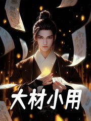 大才小用