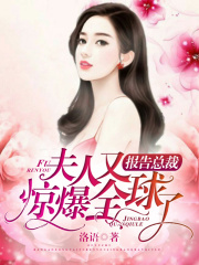 报告总裁:夫人又惊爆全球了