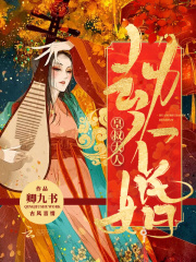 皇叔大人劫个婚