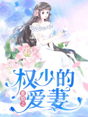 蜜婚之权少的爱妻