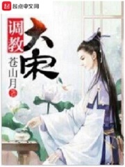 我的大宋不能输！