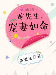 龙先生,宠妻如命