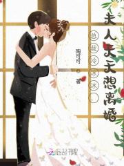 总裁冷冰冰，夫人天天想离婚