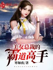 美女总裁的霸道高手