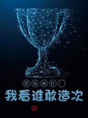 宦海神针：我看谁敢造次！