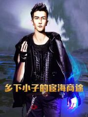 乡下小子的宦海商途