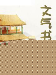 文气书生