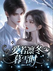 爱若凛冬暮雪时