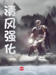 清风强化