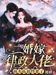 二婚嫁律政大佬，前夫孤独终老了