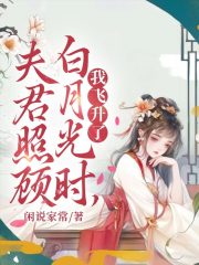 夫君照顾白月光时，我飞升了