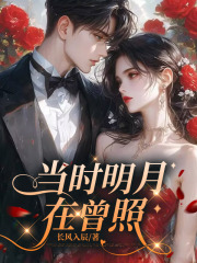 当时明月在曾照