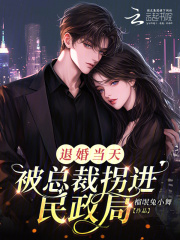 退婚当天,被总裁拐进民政局