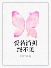 爱若消弭终不见