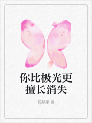 你比极光更擅长消失