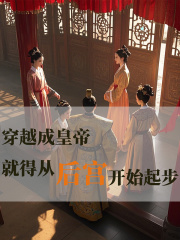 穿越成皇帝就得从后宫起步