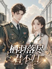 栖羽落尽，君不归