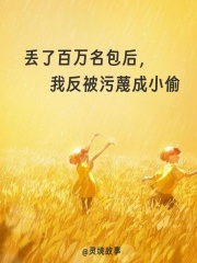 丢了百万名包后，我反被污蔑成小偷