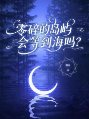 零碎的岛屿会等到海吗