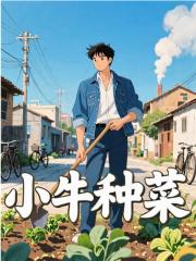 小牛种菜
