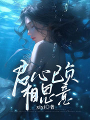 君心已负相思意